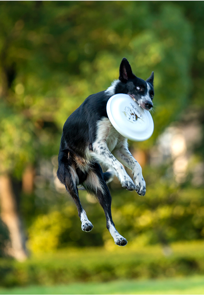 OUZEY Bite dayanıklı Pet eğiti - Flying Disc Dog Training Toy incelemesi ve fiyatı