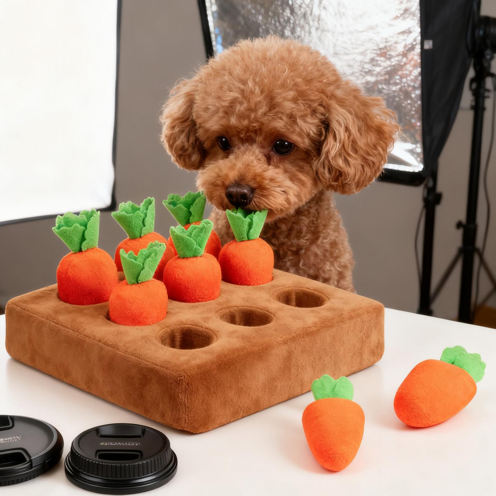 Yavru Köpekler için Snuffle Ma - Snuffle Mat For Dogs incelemesi ve fiyatı