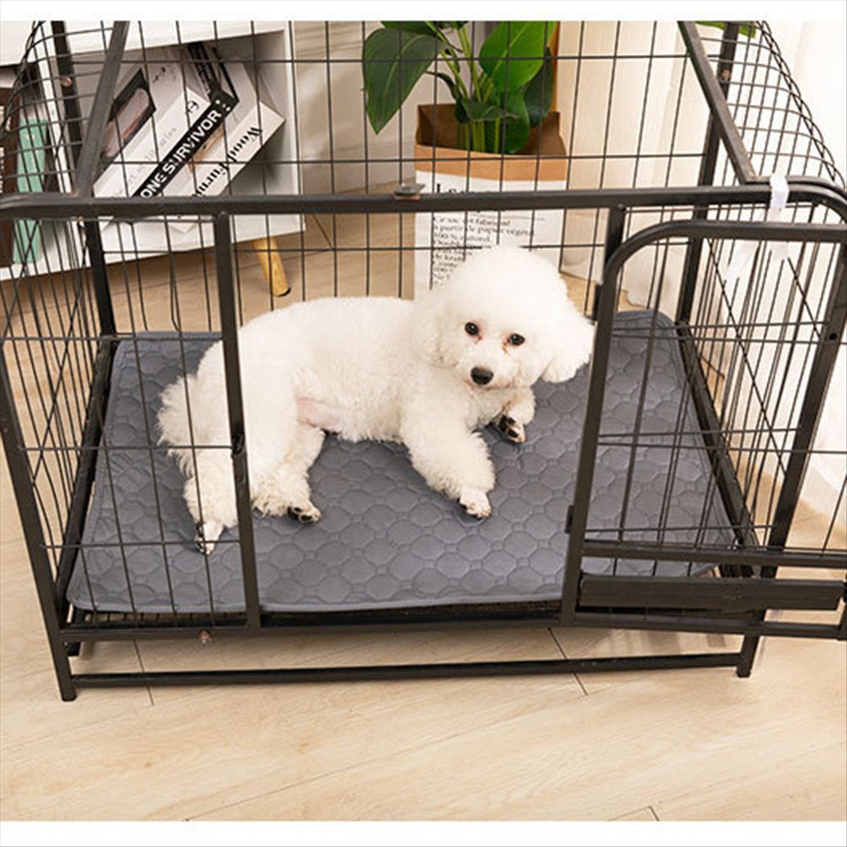 *A14E Köpek İdrar Pedi için Ye - Pet Beds incelemesi ve fiyatı