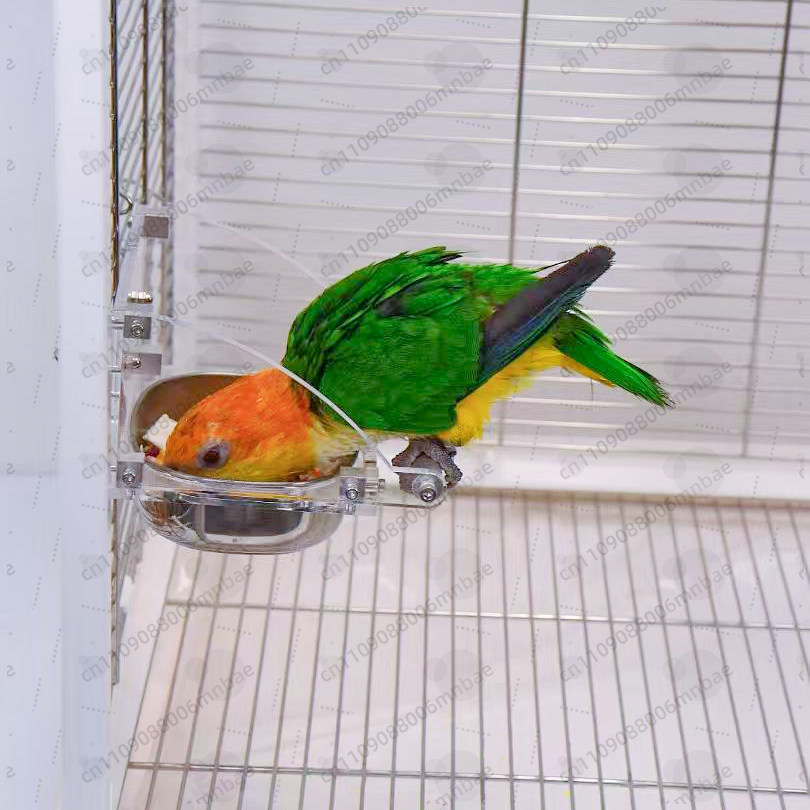 Papağan yem kutusu paslanmaz ç - Pet Feeders incelemesi ve fiyatı