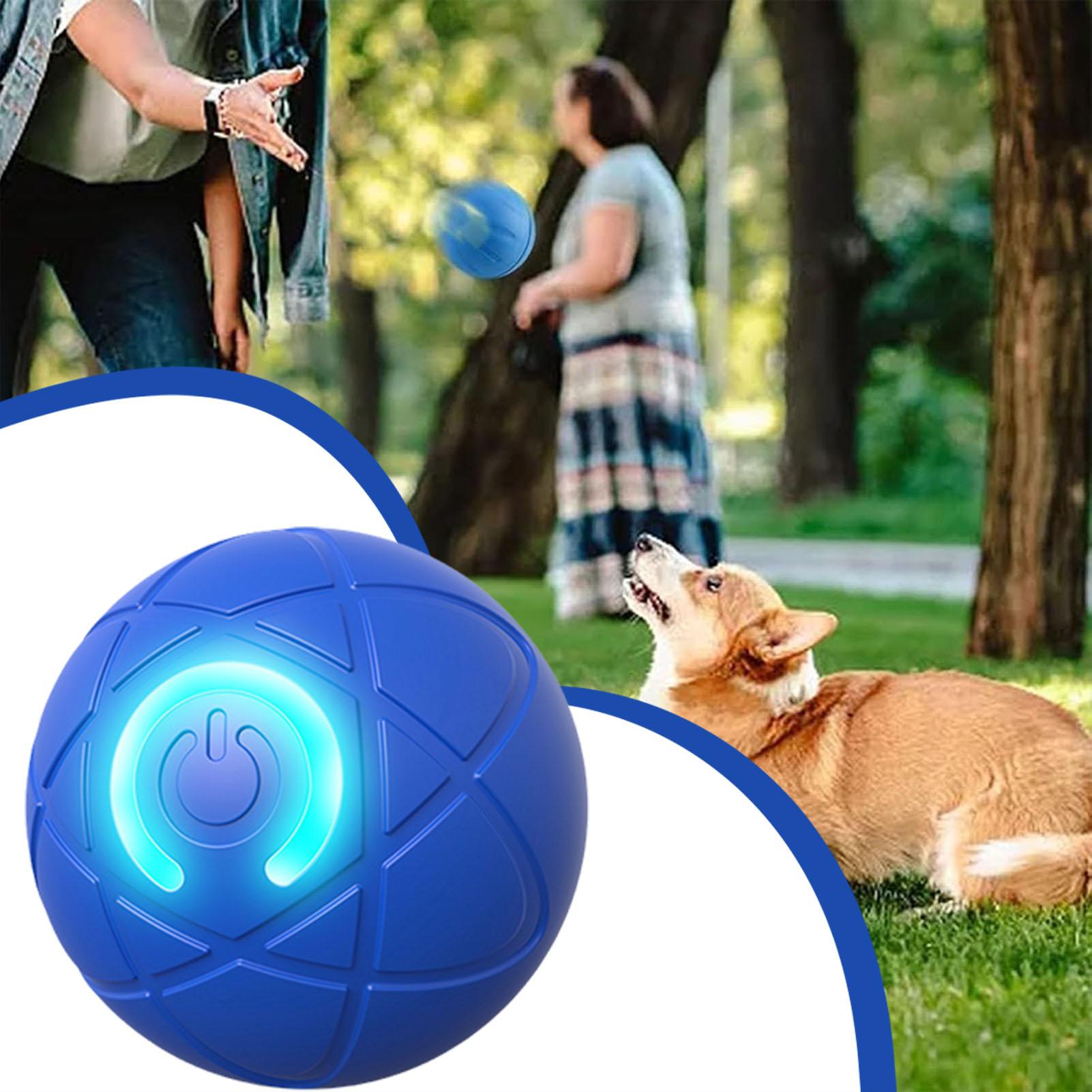 Akıllı Köpek Oyuncakları Topu  - Automatic Moving Dog Ball incelemesi ve fiyatı