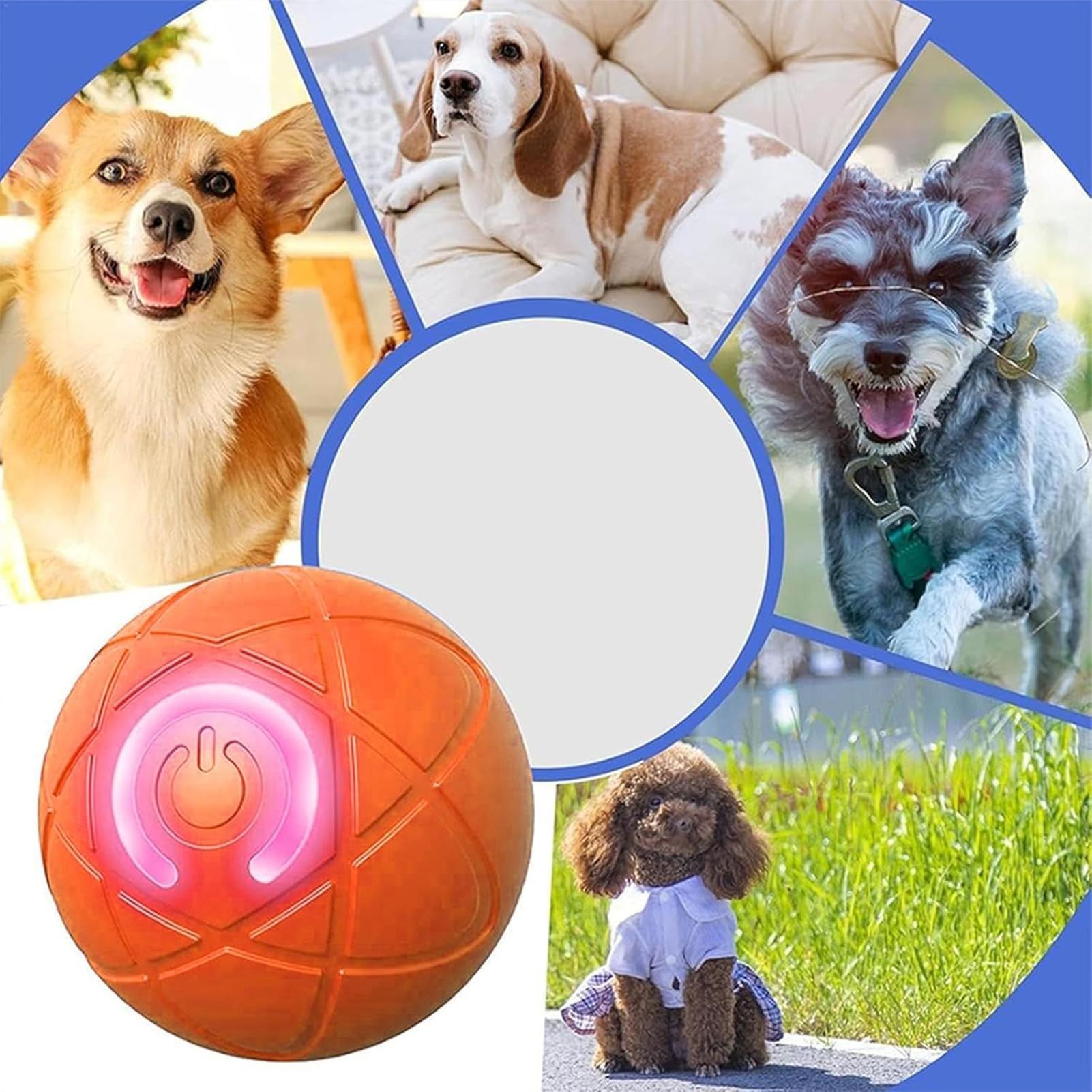 Akıllı Köpek Oyuncakları Topu  - Automatic Moving Dog Ball incelemesi ve fiyatı