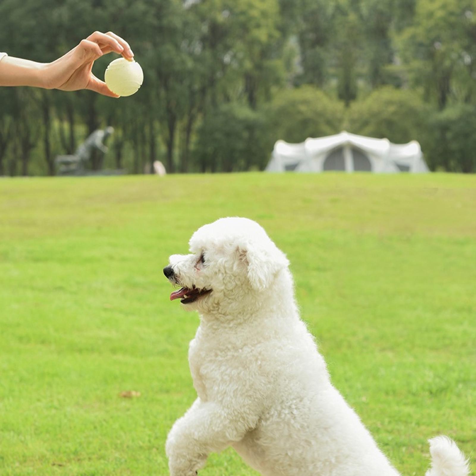 Köpek Oyuncak Topları Karanlık - Dog Rope Toy Aggressive Chewers incelemesi ve fiyatı