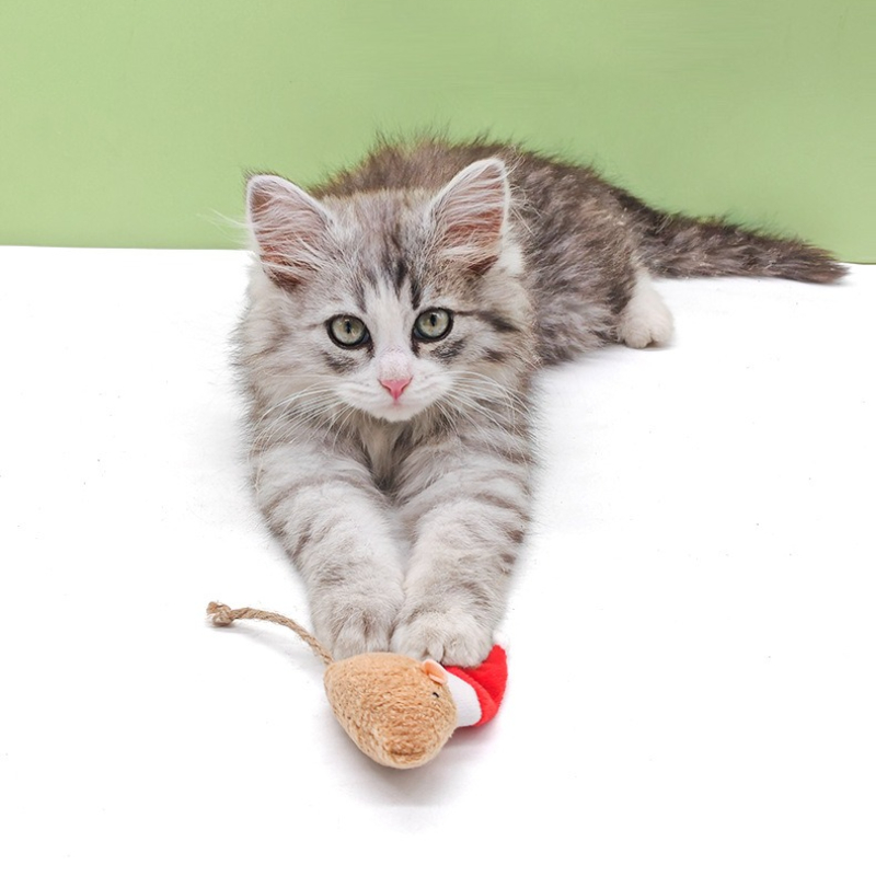 5 adet Kedi Itme Çiğneme Oyunc - Catnip Interactive Plush Mouse incelemesi ve fiyatı