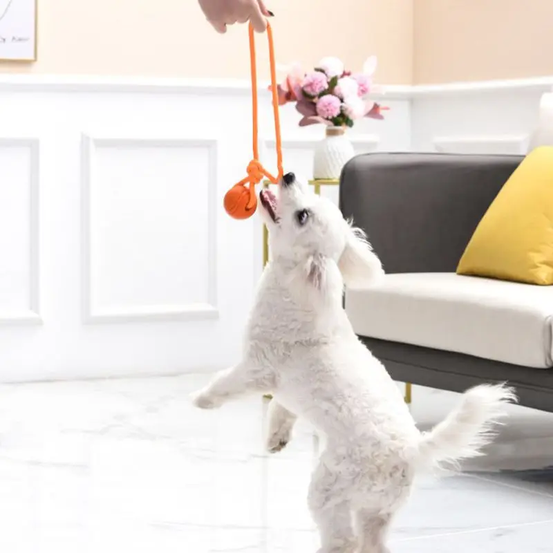 Köpek eğitim topu halat pamuk  - Suction Cup Dog Tug Toy incelemesi ve fiyatı
