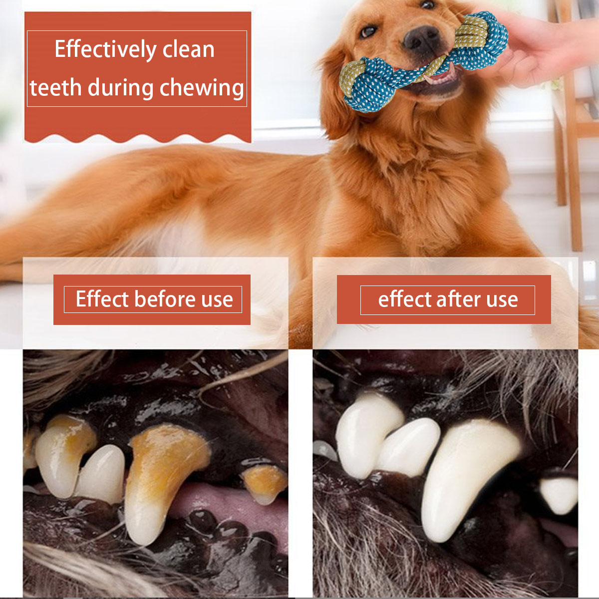 Yeni 7 Parça Evcil Köpek Yavru - Teeth Cleaning Dog Chew Bone incelemesi ve fiyatı