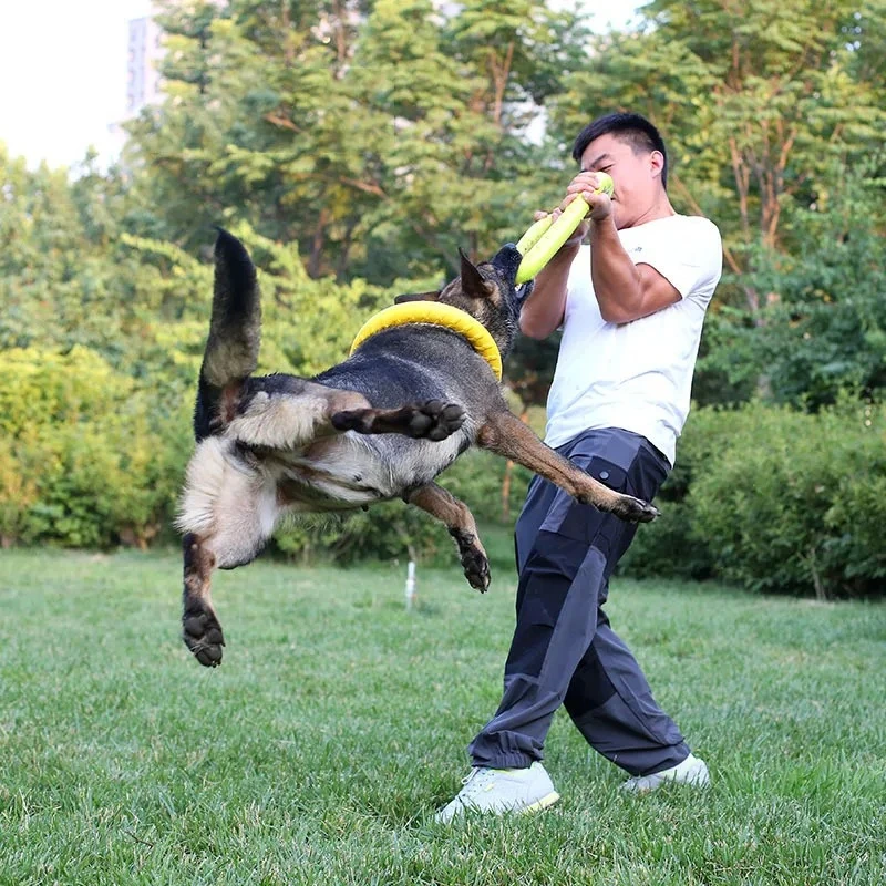 Köpek oyuncaklar Pet uçan disk - Suction Cup Dog Tug Toy incelemesi ve fiyatı