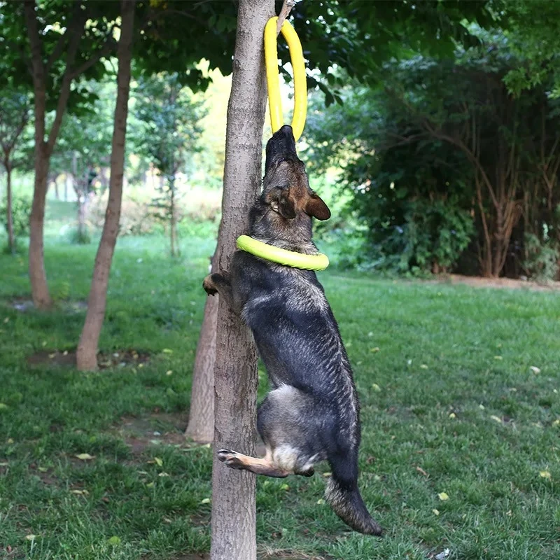 Köpek oyuncaklar Pet uçan disk - Suction Cup Dog Tug Toy incelemesi ve fiyatı