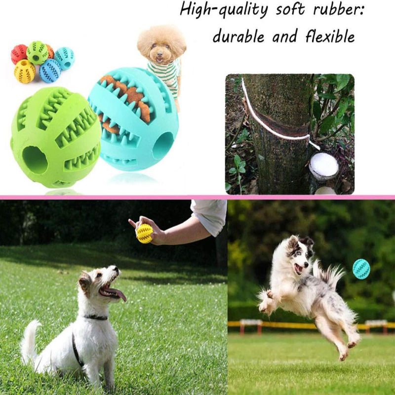 Köpek Çiğneme, Diş Temizleme v - Dog Puzzle Feeder Toy incelemesi ve fiyatı
