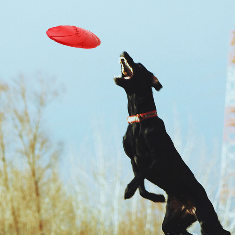 Kauçuk Pet Köpek Uçan Diskler  - Flying Disc Dog Training Toy incelemesi ve fiyatı