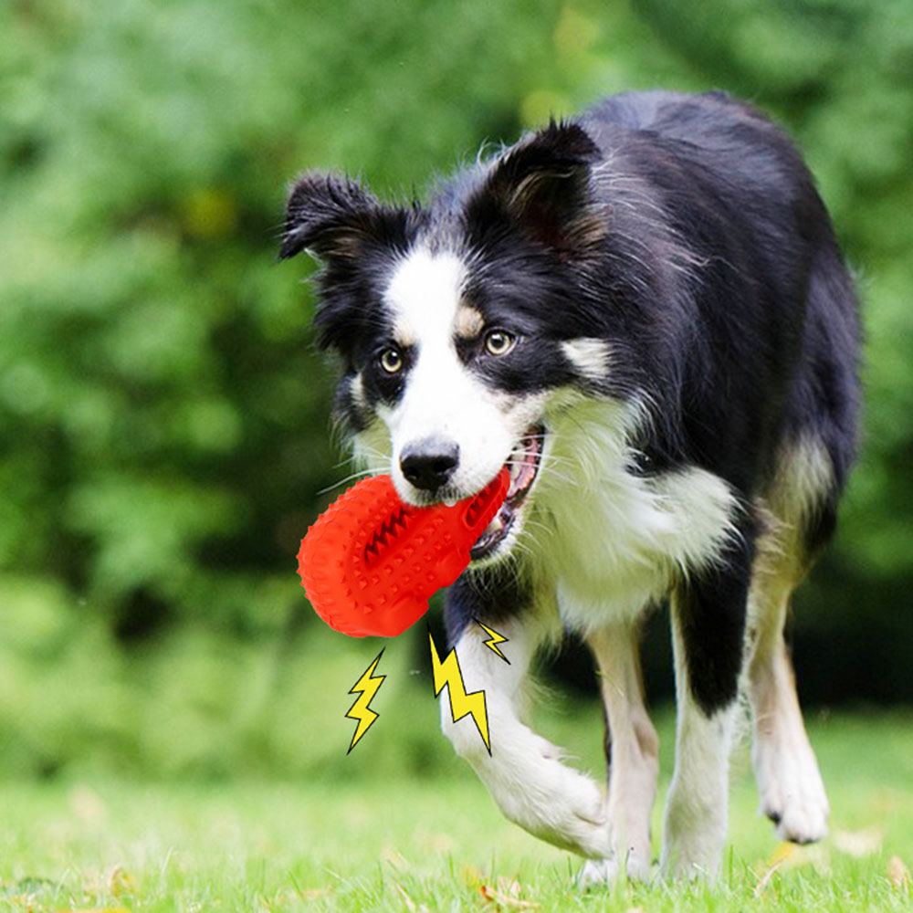 Köpek Çiğneme Oyuncağı Kauçuk  - Teeth Cleaning Dog Chew Bone incelemesi ve fiyatı