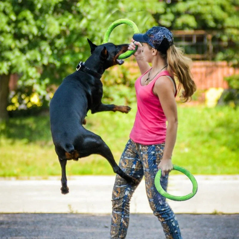 Köpek Oyuncakları Evcil Hayvan - Flying Disc Dog Training Toy incelemesi ve fiyatı