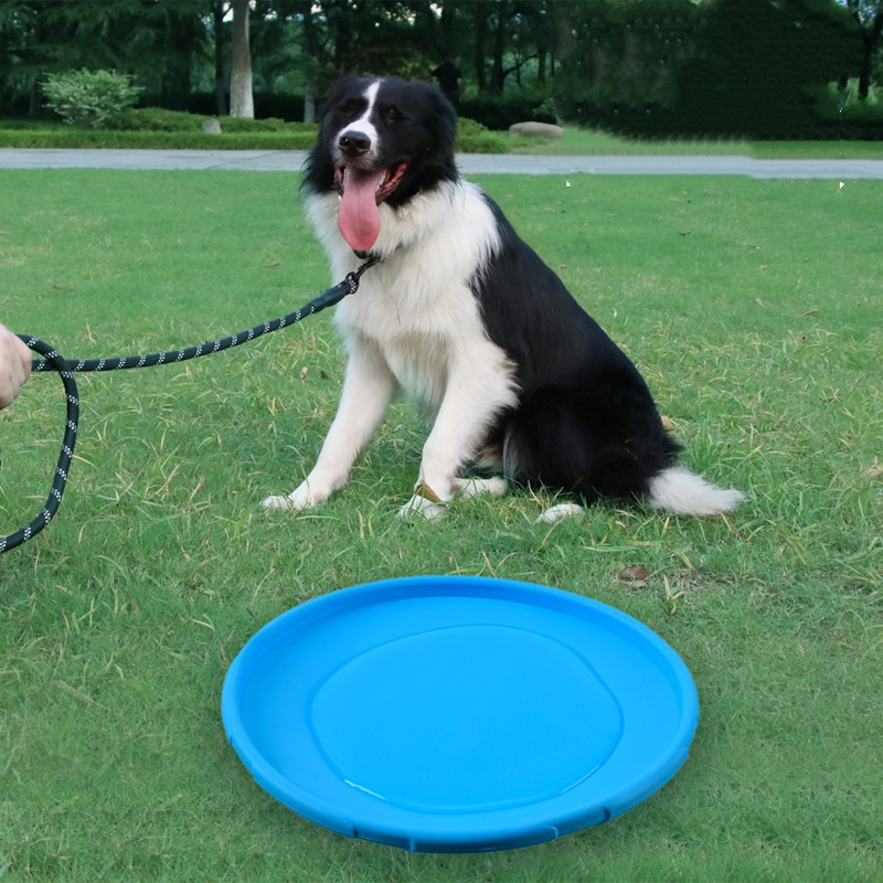 Köpekler ve Kediler için İnter - Flying Disc Dog Training Toy incelemesi ve fiyatı