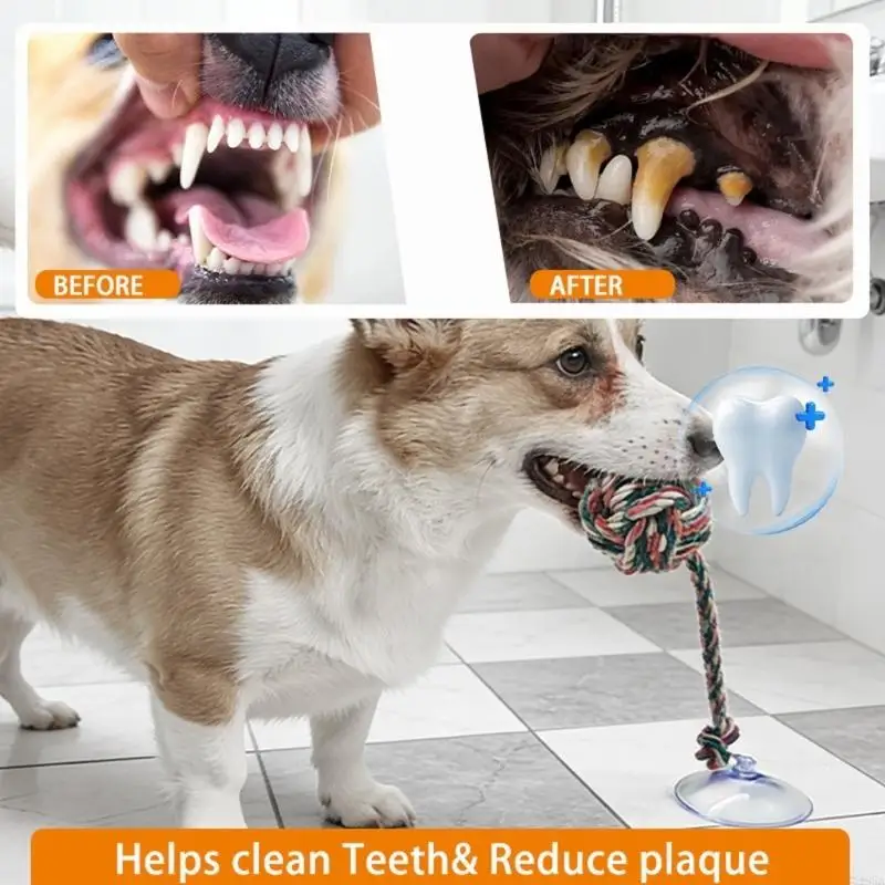 Eğlenceli Güvenli Köpek Çiğnem - Suction Cup Dog Tug Toy incelemesi ve fiyatı