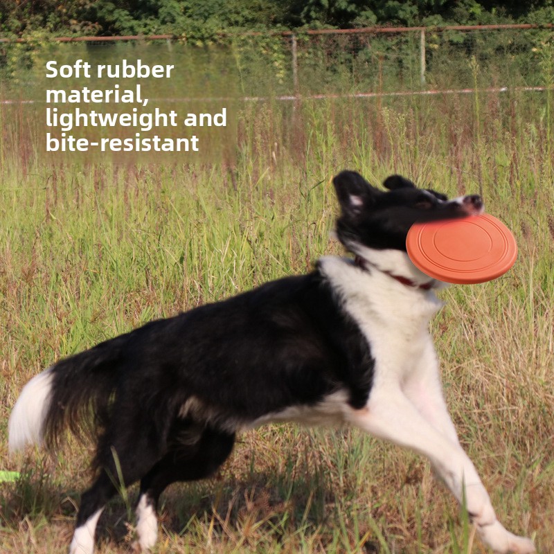 Isırmaya Dayanıklı Yüzen Yumuş - Flying Disc Dog Training Toy incelemesi ve fiyatı