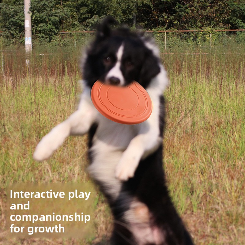 Isırmaya Dayanıklı Yüzen Yumuş - Flying Disc Dog Training Toy incelemesi ve fiyatı