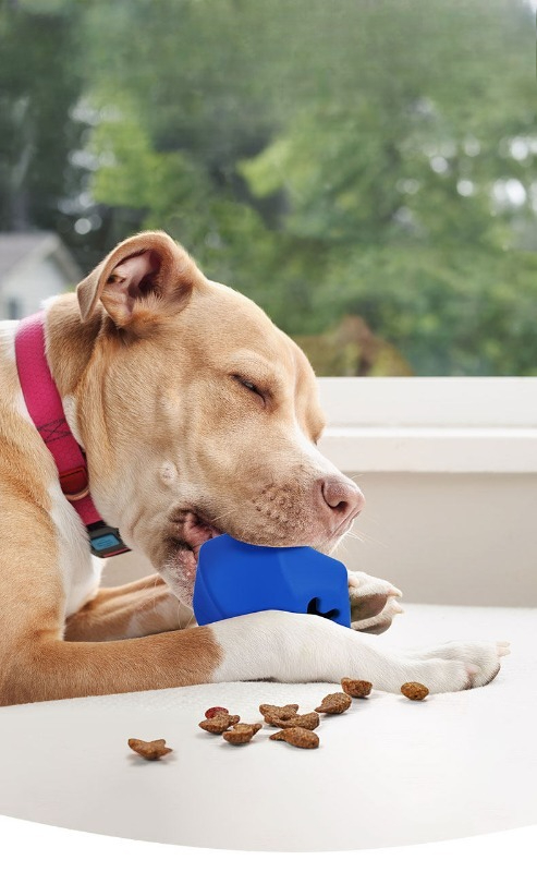 Dayanıklı Kauçuk Köpek Ödül Ma - Rubber Treat Dispensing Dog Toy incelemesi ve fiyatı