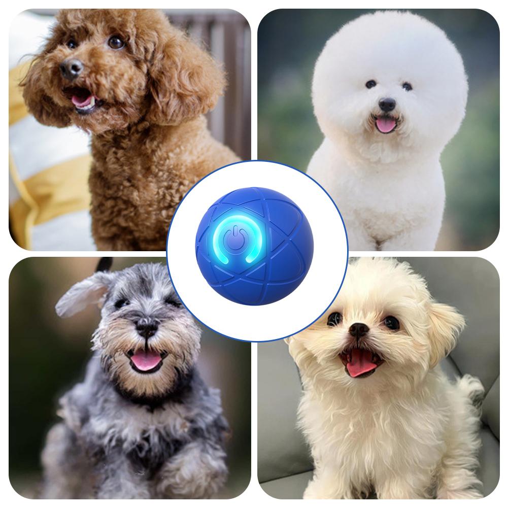 Elektronik İnteraktif Evcil Ha - Automatic Moving Dog Ball incelemesi ve fiyatı