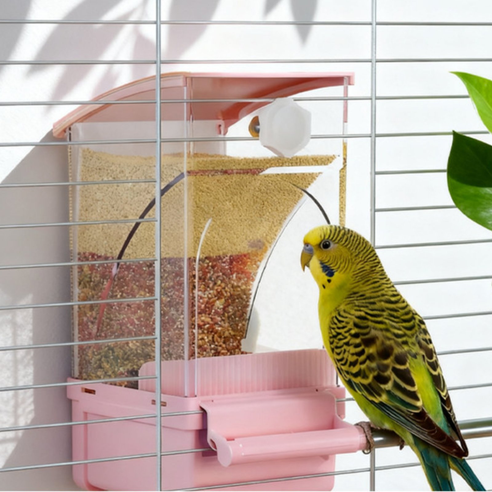 Otomatik Kuş Yemliği Kabuk Ayı - Pet Feeders incelemesi ve fiyatı