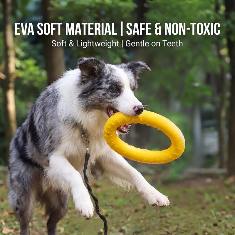 Köpek Oyuncakları Evcil Hayvan - Suction Cup Dog Tug Toy incelemesi ve fiyatı