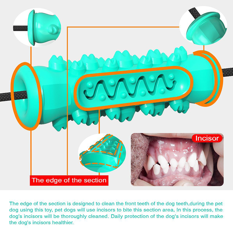 Çift Vakumlu Bardaklı Köpek Çe - Suction Cup Dog Tug Toy incelemesi ve fiyatı
