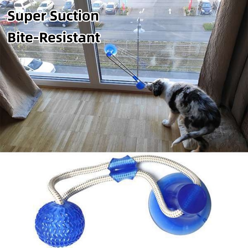 Dayanıklı Vakumlu Tutuculu Köp - Suction Cup Dog Tug Toy incelemesi ve fiyatı