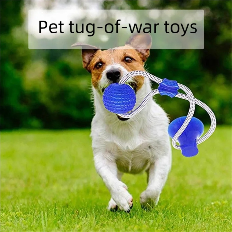 Dayanıklı Vakumlu Tutuculu Köp - Suction Cup Dog Tug Toy incelemesi ve fiyatı
