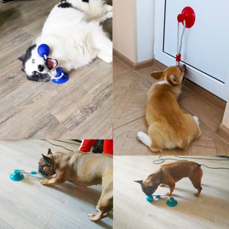 Dayanıklı Vakumlu Tutuculu Köp - Suction Cup Dog Tug Toy incelemesi ve fiyatı