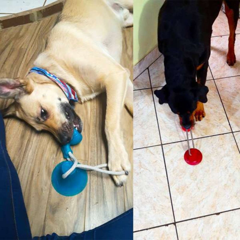 Dayanıklı Vakumlu Tutuculu Köp - Suction Cup Dog Tug Toy incelemesi ve fiyatı
