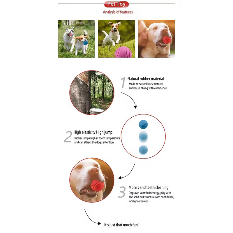 Sağlam Kauçuk Köpek Zıplayan T - Indestructible Dog Chew Toy incelemesi ve fiyatı