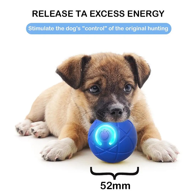 Köpek Oyuncak Topu Interaktif  - Suction Cup Dog Tug Toy incelemesi ve fiyatı