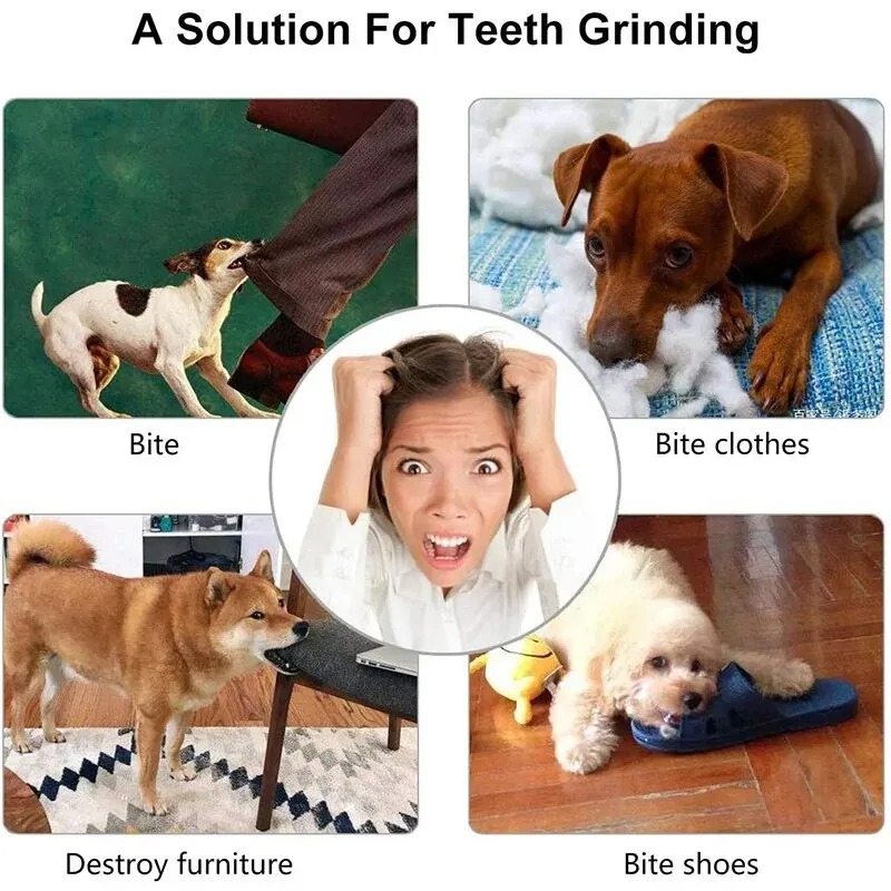 1 Adet Köpek Ödül Maması Topu  - Rubber Treat Dispensing Dog Toy incelemesi ve fiyatı