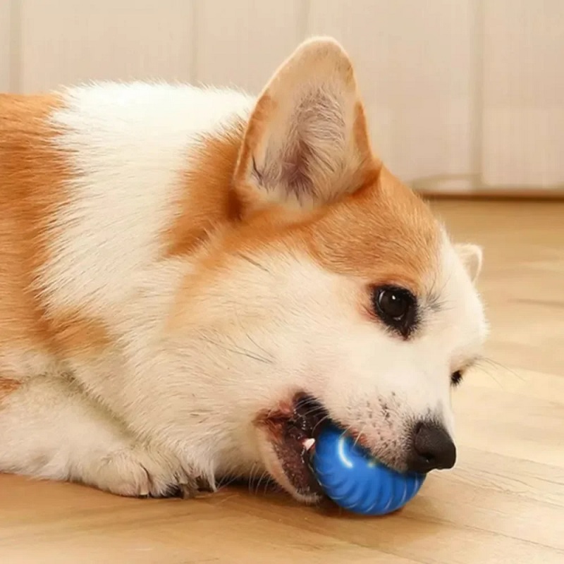 Otomatik Hareket Eden Köpek Oy - Automatic Moving Dog Ball incelemesi ve fiyatı