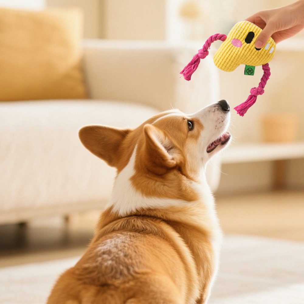 Köpek Çiğneme Oyuncağı - Dayan - Dog Rope Toy Aggressive Chewers incelemesi ve fiyatı