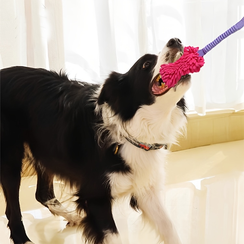 Agresif Çiğneyiciler İçin Daya - Suction Cup Dog Tug Toy incelemesi ve fiyatı