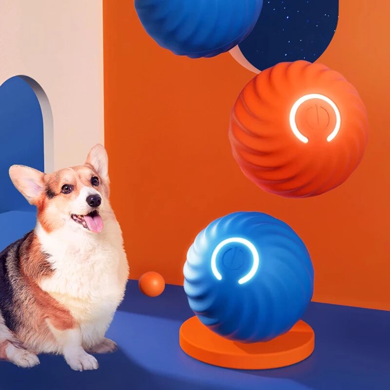 Köpek Oyuncakları Akıllı Yerçe - Suction Cup Dog Tug Toy incelemesi ve fiyatı