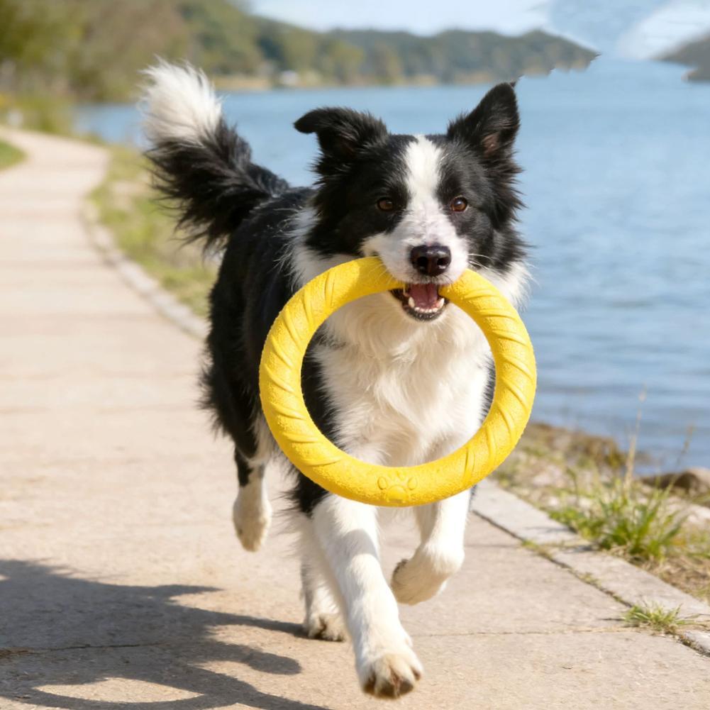 Köpek Oyuncakları: Kırılmaz, Ç - Interactive Squeaky Plush Dog Toy incelemesi ve fiyatı