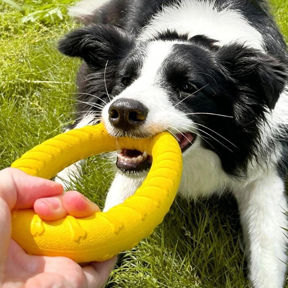 Köpek Oyuncakları: Kırılmaz, Ç - Interactive Squeaky Plush Dog Toy incelemesi ve fiyatı