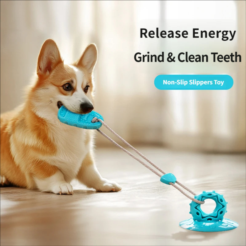 Vakumlu Köpek Çekme Oyuncağı İ - Suction Cup Dog Tug Toy incelemesi ve fiyatı