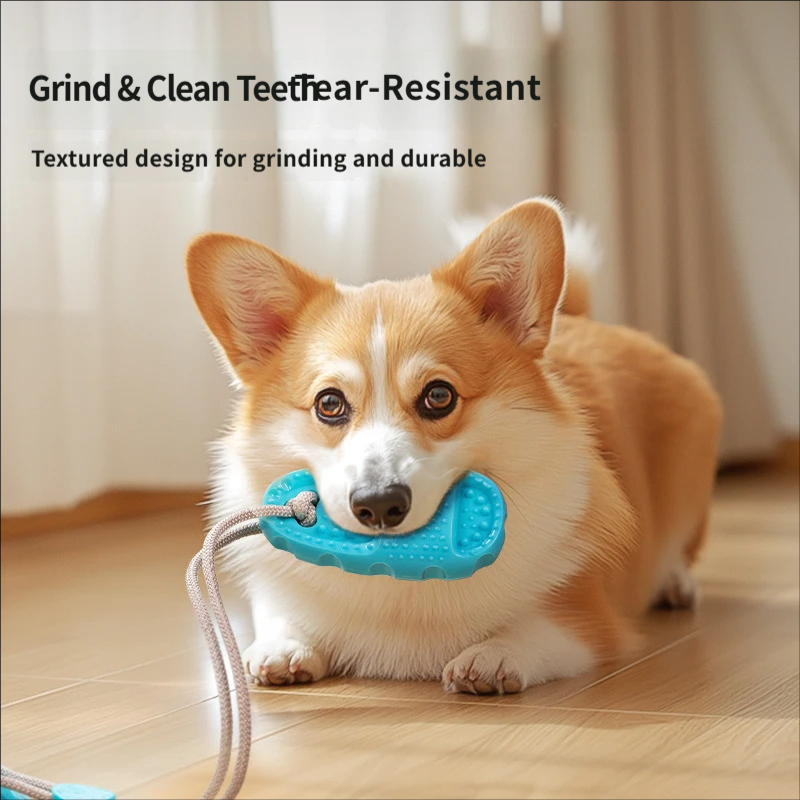 Vakumlu Köpek Çekme Oyuncağı İ - Suction Cup Dog Tug Toy incelemesi ve fiyatı