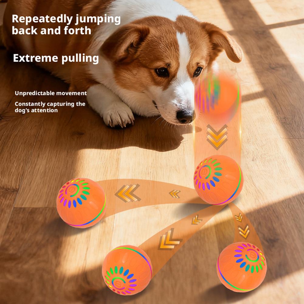 Akıllı Otomatik Dönen Köpek To - Automatic Moving Dog Ball incelemesi ve fiyatı