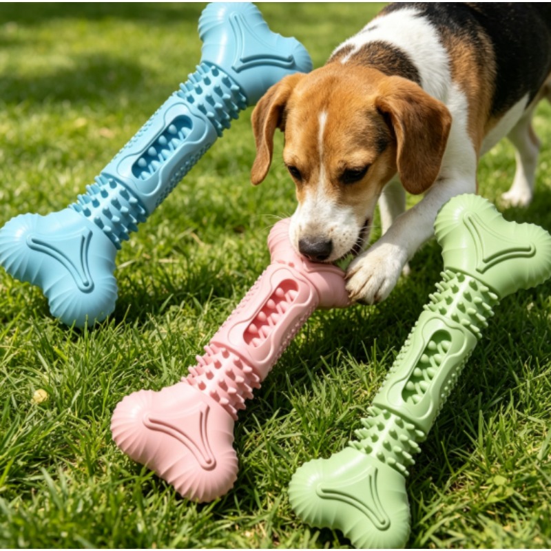 Yeni Dayanıklı Evcil Hayvan Çi - Teeth Cleaning Dog Chew Bone incelemesi ve fiyatı