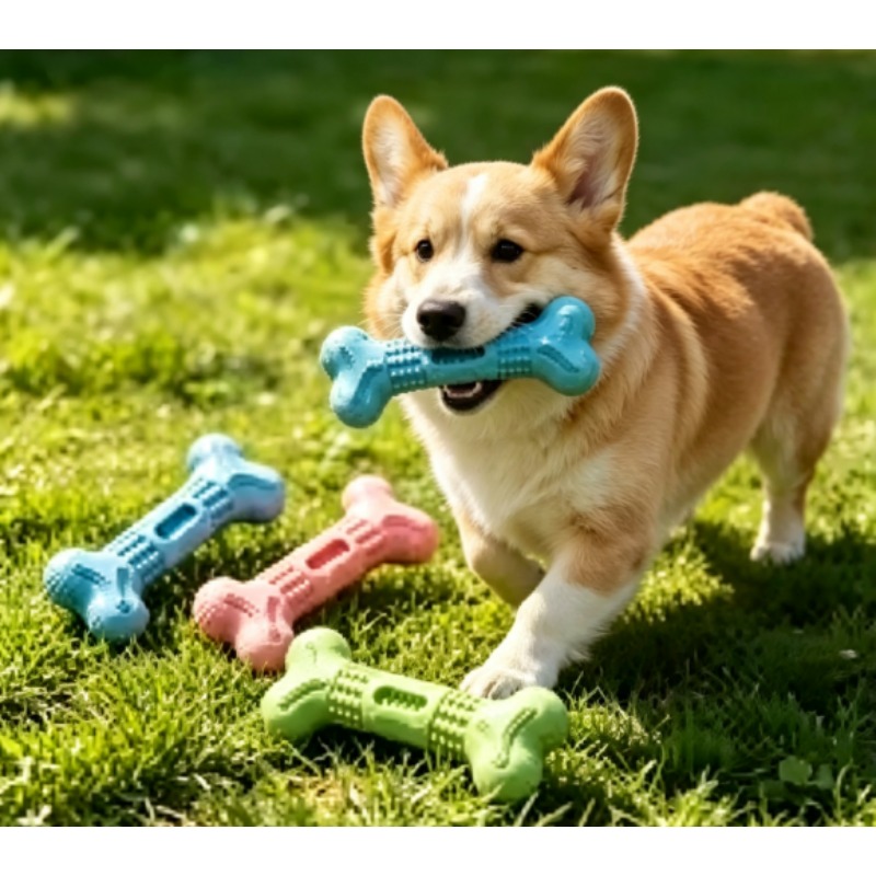Yeni Dayanıklı Evcil Hayvan Çi - Teeth Cleaning Dog Chew Bone incelemesi ve fiyatı