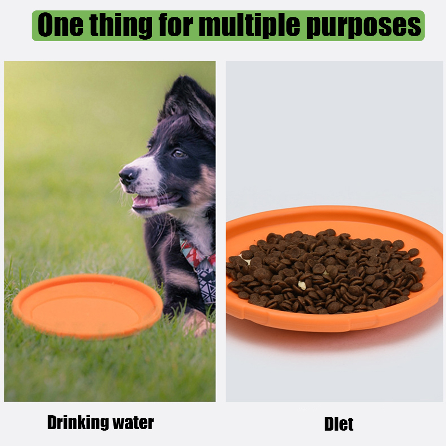 Büyük Köpekler İçin Altın Renk - Flying Disc Dog Training Toy incelemesi ve fiyatı