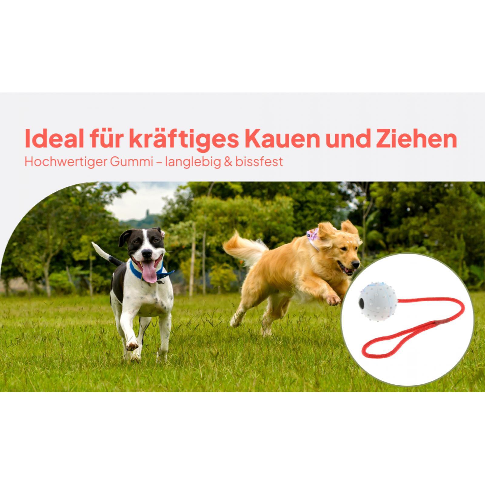 Evcil Hayvan Eğitim Oyuncağı Y - Rubber Treat Dispensing Dog Toy incelemesi ve fiyatı