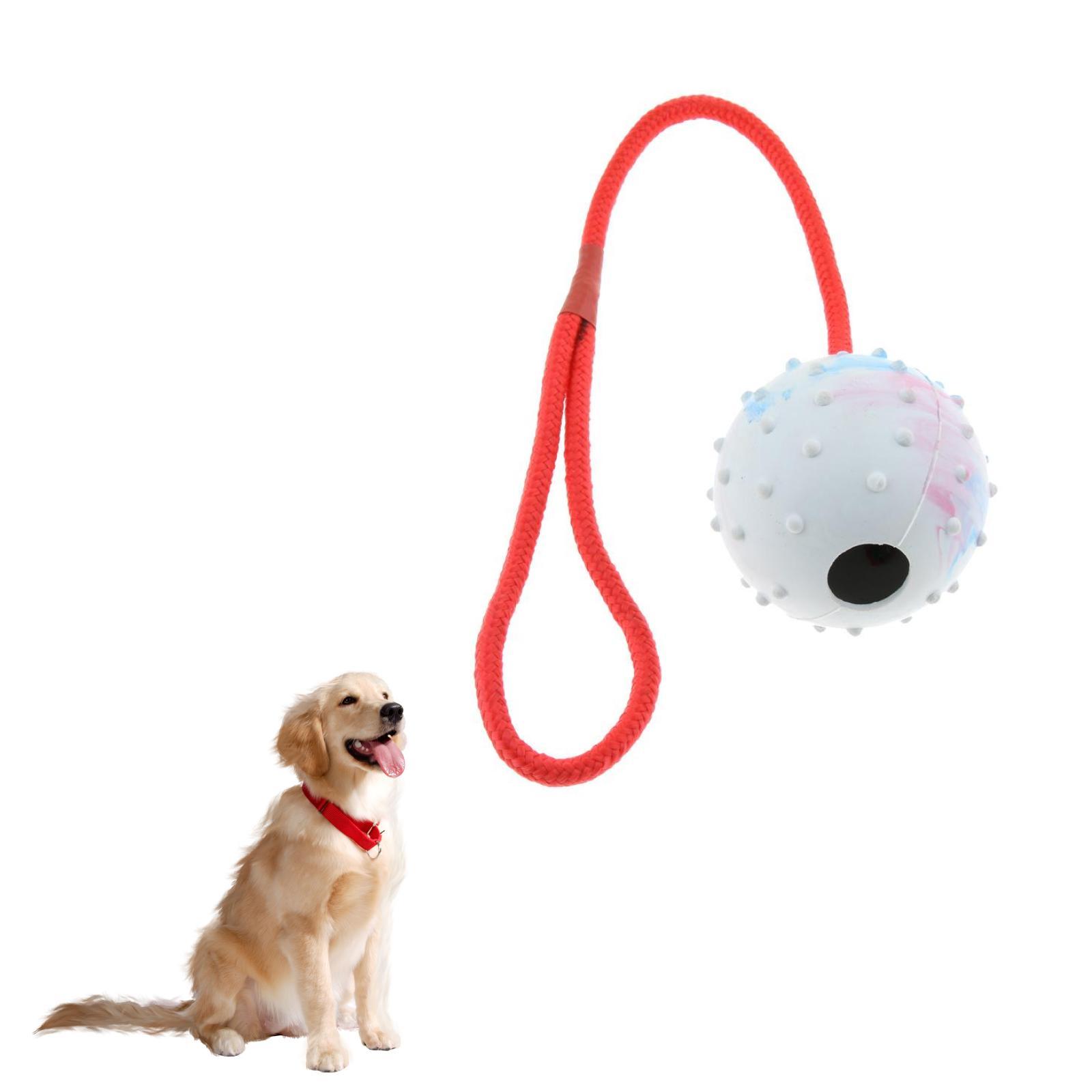 Evcil Hayvan Eğitim Oyuncağı Y - Rubber Treat Dispensing Dog Toy incelemesi ve fiyatı