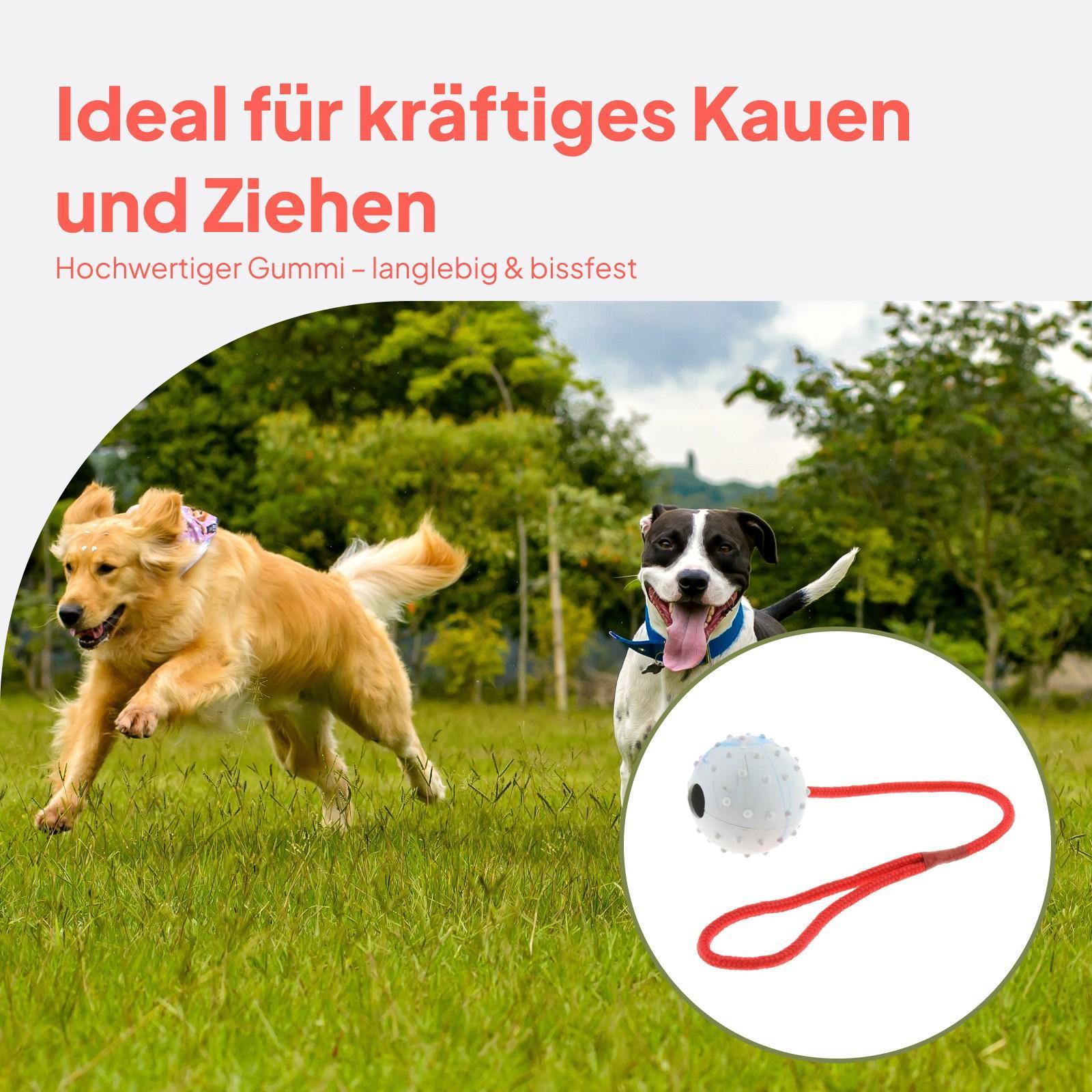 Evcil Hayvan Eğitim Oyuncağı Y - Rubber Treat Dispensing Dog Toy incelemesi ve fiyatı