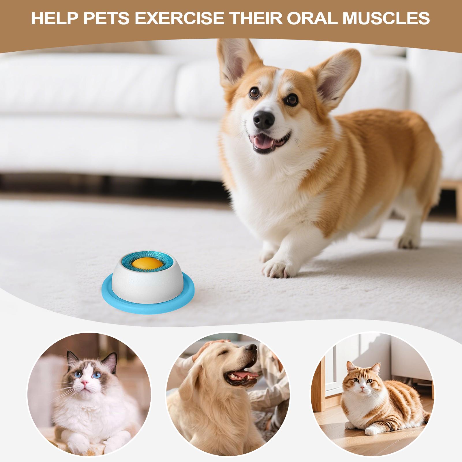 Evcil Hayvan Besleme Aksesuarl - Dog Puzzle Feeder Toy incelemesi ve fiyatı